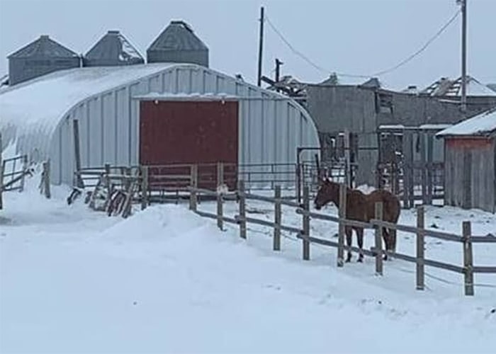 Tips to Build a Great Horse Barn